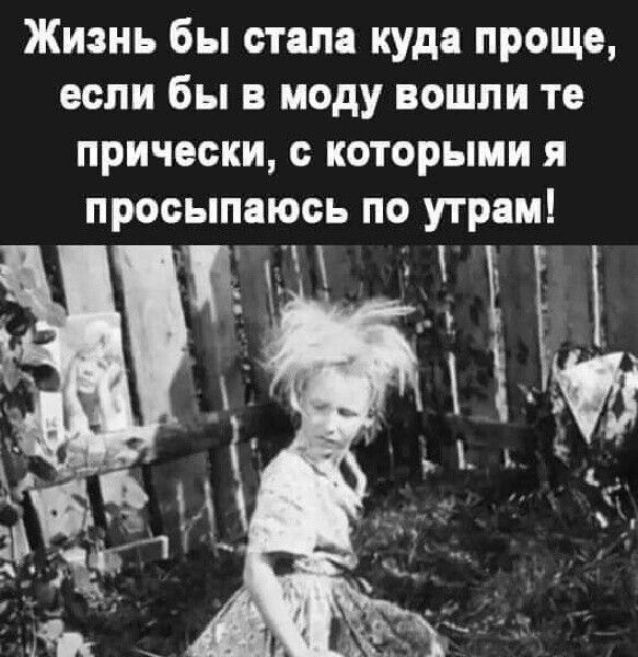 Жизнь бы стал куда проще если бы в моду вошли те прически с которыми я просыпаюсь по утрам _чщ