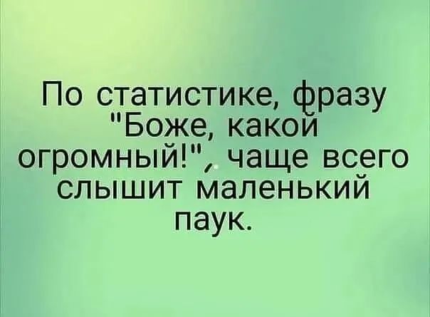 По статистике фразу Боже какои огромный чаще всего слышит маленький паук