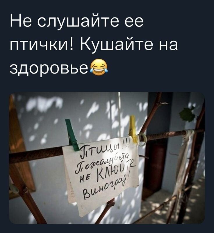 Не слушайте ее птички Кушайте на здоровье