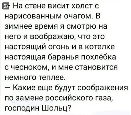 В На стене висит холст с нарисованным очагом В зимнее время я смотрю на него и воображаю что это настоящий огонь и в котелке настоящая баранья похпёбка с чесноком и мне становится немного теплее Какие еще будут соображения по замене российского газа господин Шольц