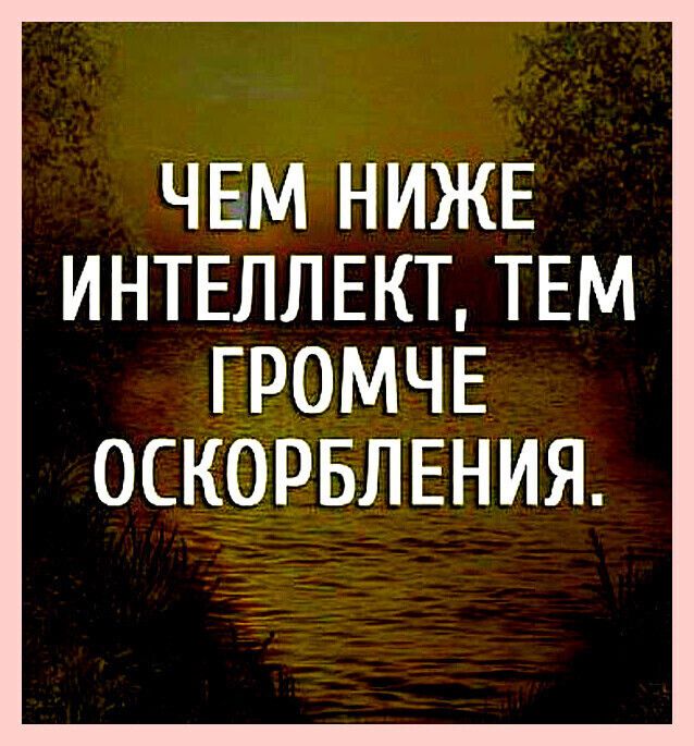 ЧЕМ НИЖЕ ИНТЕЛЛЕКТ ТЕМ ГРОМЧЕ ОСКОРБЛЕНИЯ