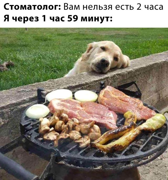 Стоматолог Вам НЕЛЬЗЯ ЕСТЬ 2 часа Я через 1 час 59 минут