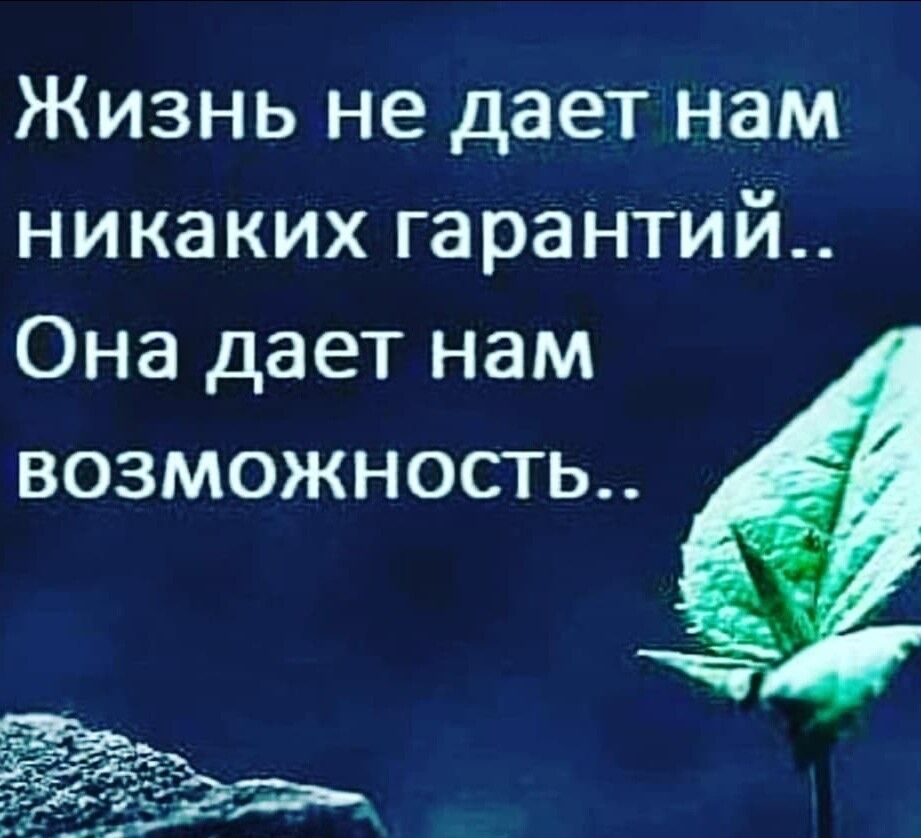 Жизнь не дает нам никаких гарантий Она дает нам возможность