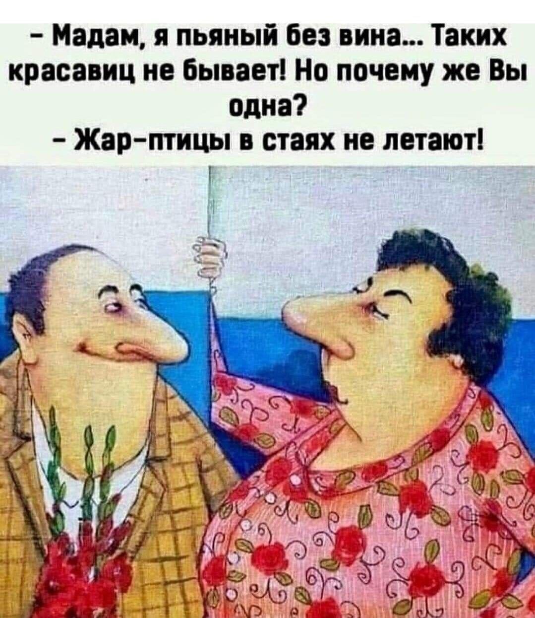 Мадам я пьяный без нина Таких красавиц не бывает Но почему же Вы одна Жар птицы стаях не летают