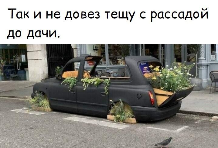 Так и не до вез тещу с рассадой до дачи