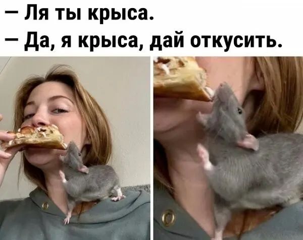 Ля ты крыса да я крыса дай откусить