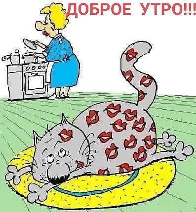 ОБРОЕ УТРО