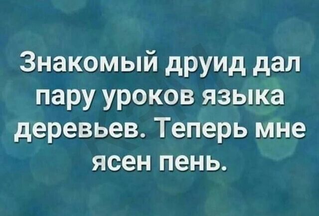 Знакомый друид дал пару уроков языка деревьев Теперь мне ясен пень