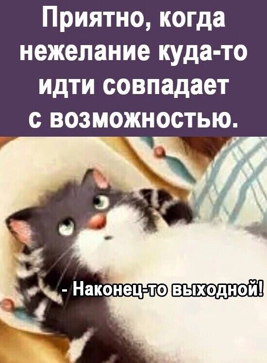 Приятно когда нежелание куда то идти совпадает с возможностью