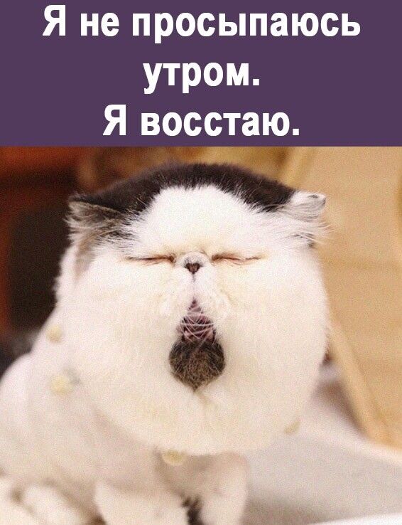 Я не просыпаюсь утром Я восстаю