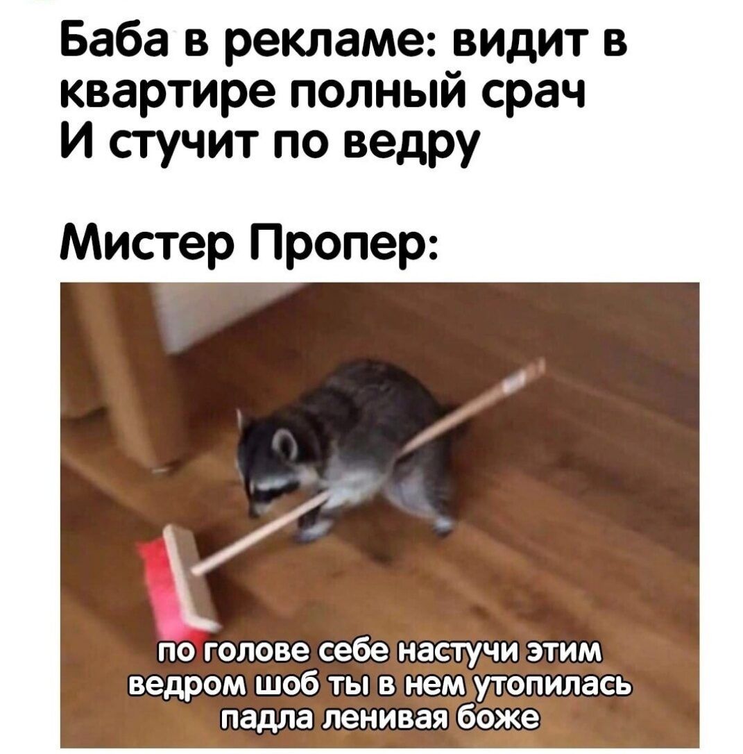 Баба в рекламе видит в квартире полный срач И сгучит по ведру Мистер Пропер по гопаве себе настучи этим ведром шоб ты в нем утопипась падла ленивая боже