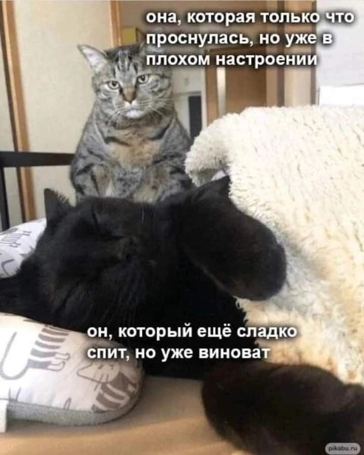 она которая ТОПЬК Т_РОСНУПЗСЬ 0 уже _ ППОХОМ настроени о_и который ещё сладк спит но уже винова