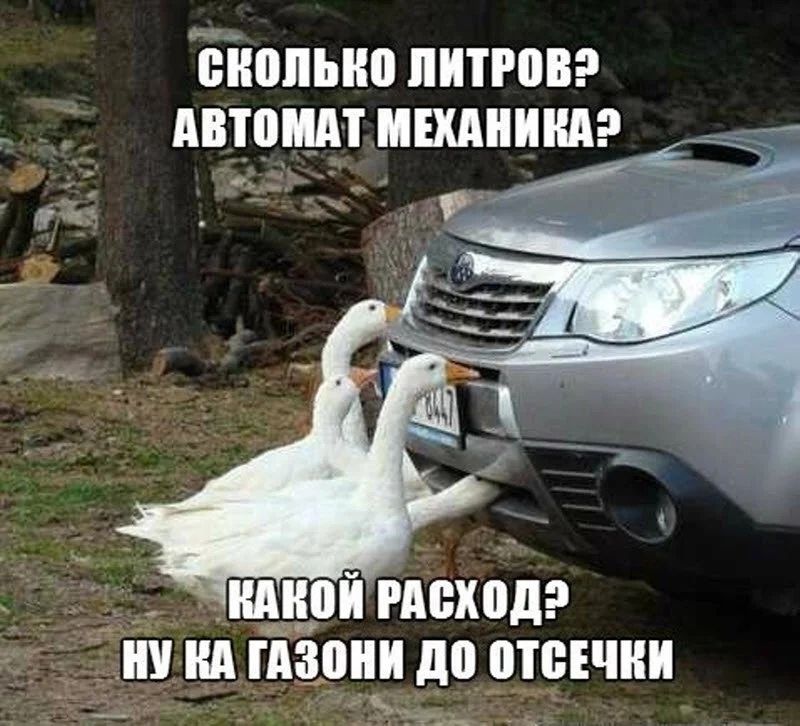 інюпьип питгпвэ двтпидт ишишэ