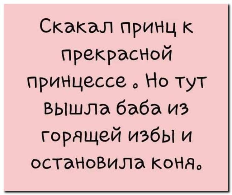 Скакал принц к прекрасНой прИНцессе Но тут вышла баба из горящей избы и ОСТЭНОВИЛЭ КОНдо