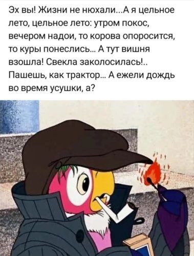 Эх вы Жизни не нюхапиА я цельное лето цельное лето утром покос вечером надои то корова опоросится то куры понеслись А тут вишня взошла Свекла закопосилась Пашешь ак трактор А ежели дождь во время усушки а