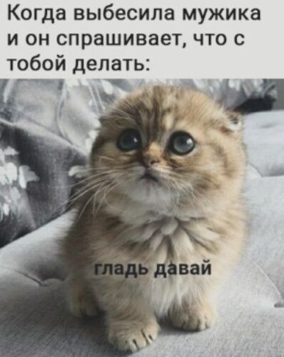 Когда выбесила мужика и он спрашивает что с тобой делать А
