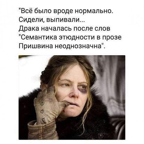 Всё было вроде нормально Сидели выпивали Драка началась после слов Семантика зтюдности в прозе Пришвина неоднозначнаі