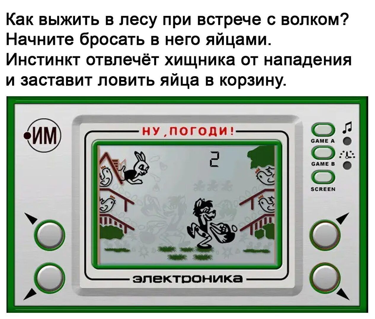 Как выжить в лесу при встрече волком Начните бросать в него яйцами Инстинкт отвпечёт хищника от нападения и заставит ловить яйца в корзину