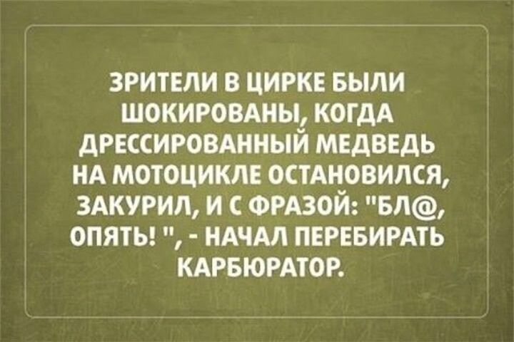 зрители в цирк Были шокировдиы когдА дгксиговднныи МЕДВЕДЬ нд мотоцикл остдновился 3АКУРИЛ и ФРАЗОЙ БЛ опяты НАЧАЛ пнрнвимть КАРБЮРАТОР