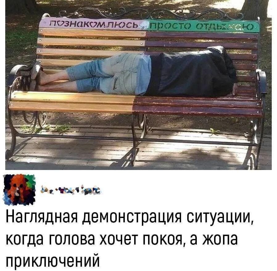 Наглядная демонстрация ситуации когда голова хочет покоя а жопа приключений