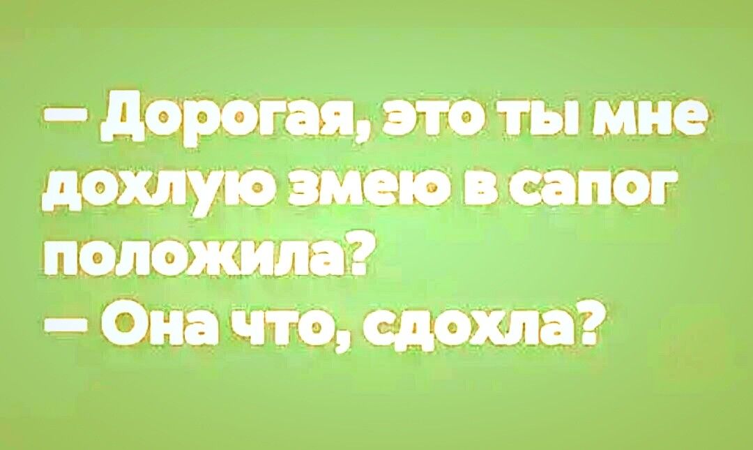 дорогая но ты мне дохлую змею исапог наложили Он что едете