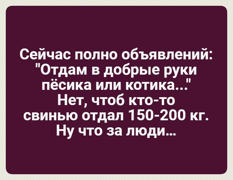 Сейчас полно объявлений Отдам в добрые руки пёсика или котика Нет чтоб ктото свинью отдал 150 200 кг Ну что за люди