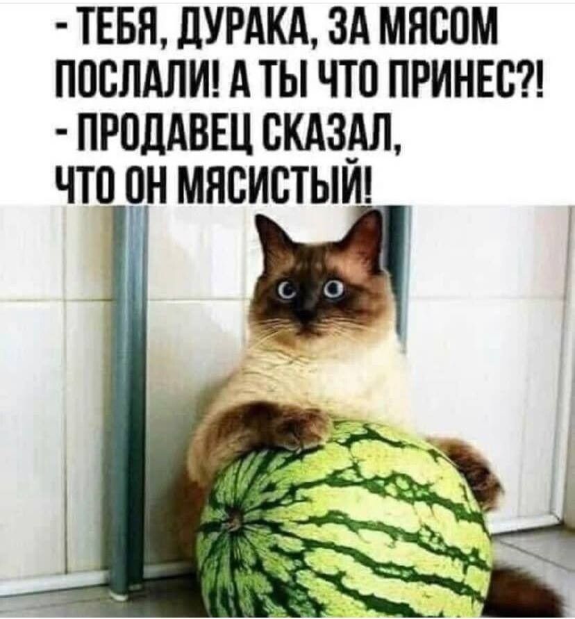 ТЕБЯ ЛУРАКА ЗА МЯВПМ ПОСЛАЛИ А ТЫ ЧТО ПРИНЕБ прпддвш склзвл что рн мнсистыи