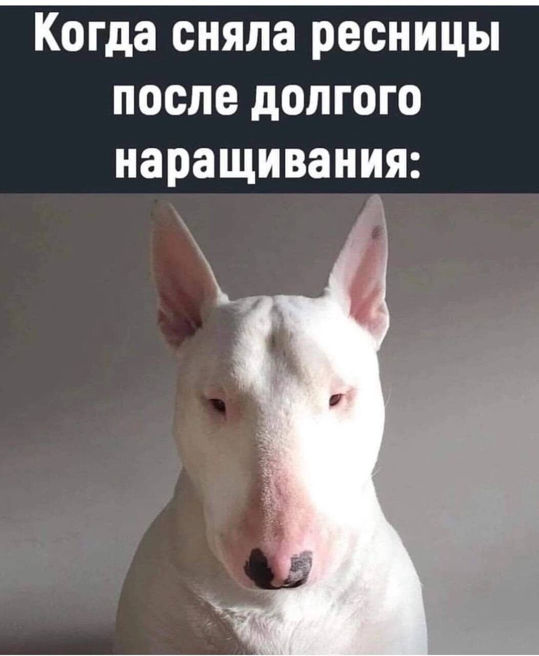 Когда сняла ресницы после долгого наращивания