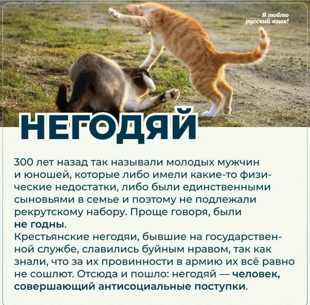 300 лет назад Увк называли молодых мужчин и юношей которые либо имели какие То Физи ческие недостатки либо были единственными сынонычми в семье и поэтому не подлежали рекрутскпму набору Проще гоп заря были не годны Крестьянские негодяи бывшие на государствен ной службе славились буйным нравом так как знали что за их провиннрсги в армию их всё равно не соот Отсюда и пошло негодли _непонем совершающ