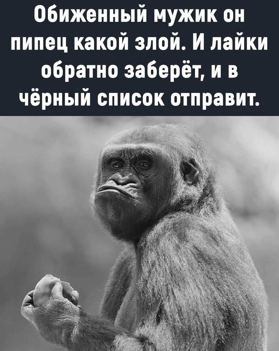 Обиженный мужик он пипец какой злой И лайки обратно заберёт и в чёрный список отправит