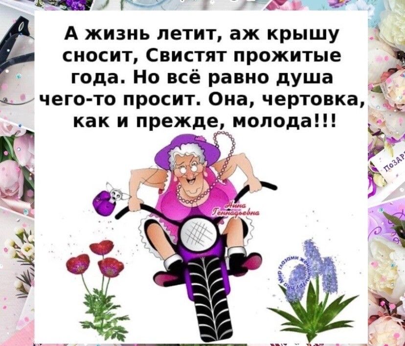 и гы и и А жизнь петит аж крышу сносит СВИСТЯТ прожитые года Но всё равно душа н чего то просит Она чертовка как и прежде молода