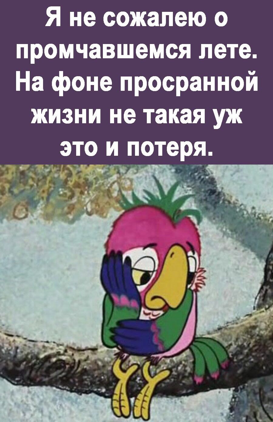 Я не сожалею о промчавшемся лете На фоне просранной жизни не такая уж это и потеря