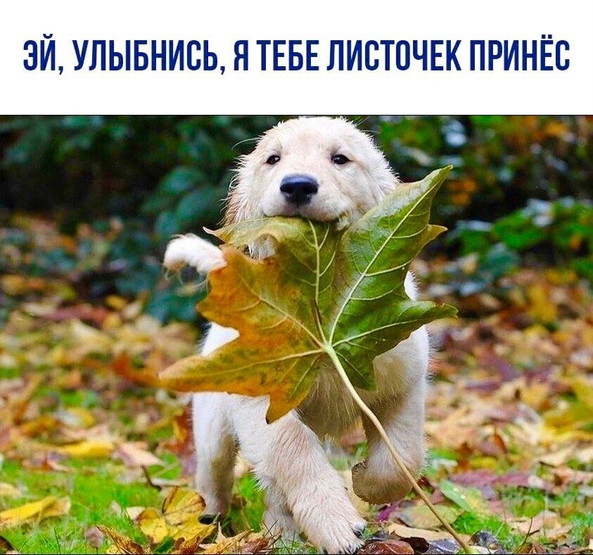 ЭЙ УЛЫБНИВЬ Я ТЕБЕ ЛИВТПЧЕК ПРИНЁЕ