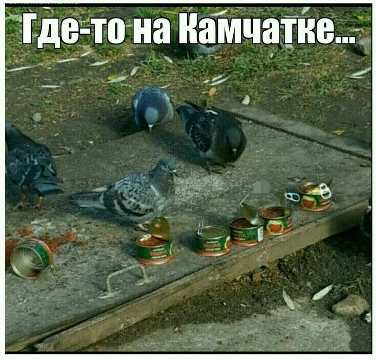 ЁДВЁ то на Намчапю 4