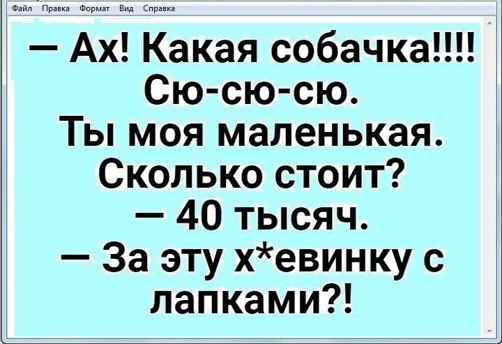 Ах Какая собачка Сю сю сю Ты моя маленькая Сколько стоит 40 тысяч За эту хевинку с лапками