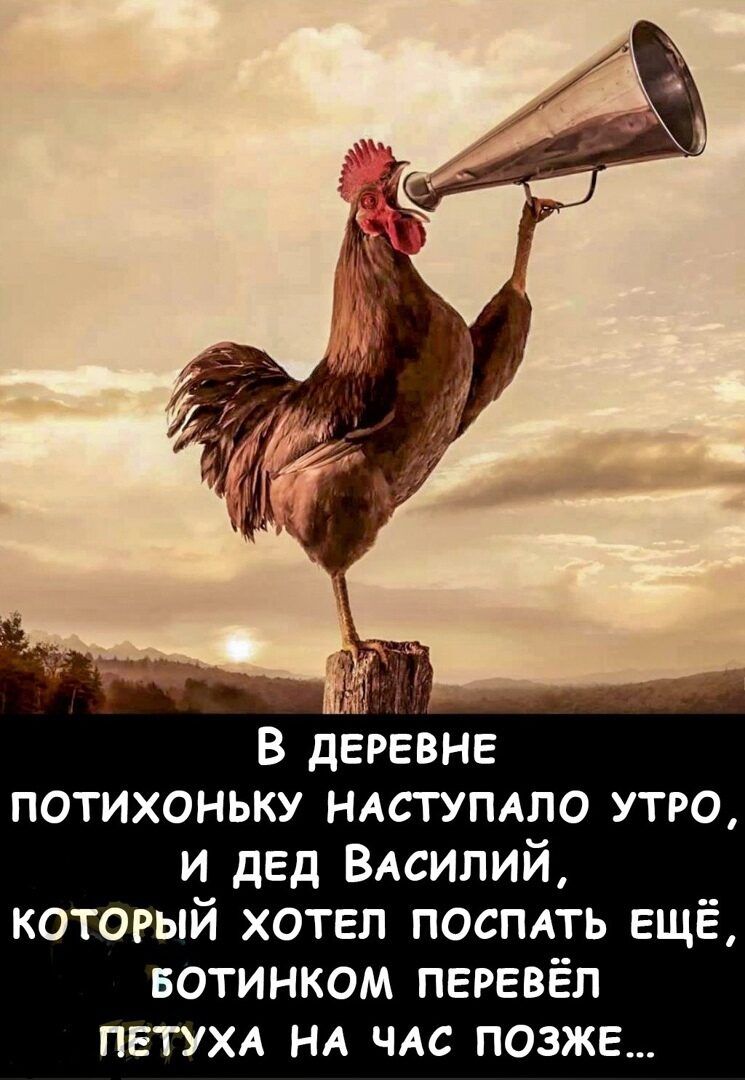 В деревне потихоньку ндстумпо утро и дед ВАСИЛИЙ который хотел поспдть ещё БОТИНКОМ перевёл петухл нд ЧАС позже