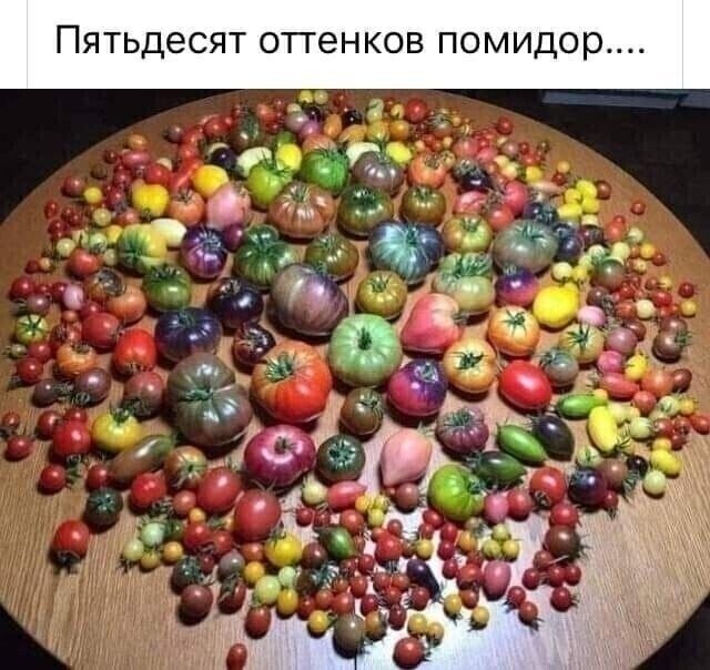 ьдесят ОТТЕНКОВ Помидор