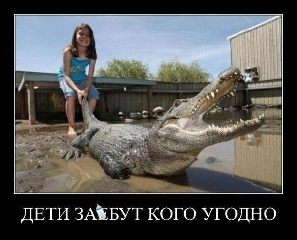 ДЕТИ ЗАЁБУТ КОГО УГОДНО
