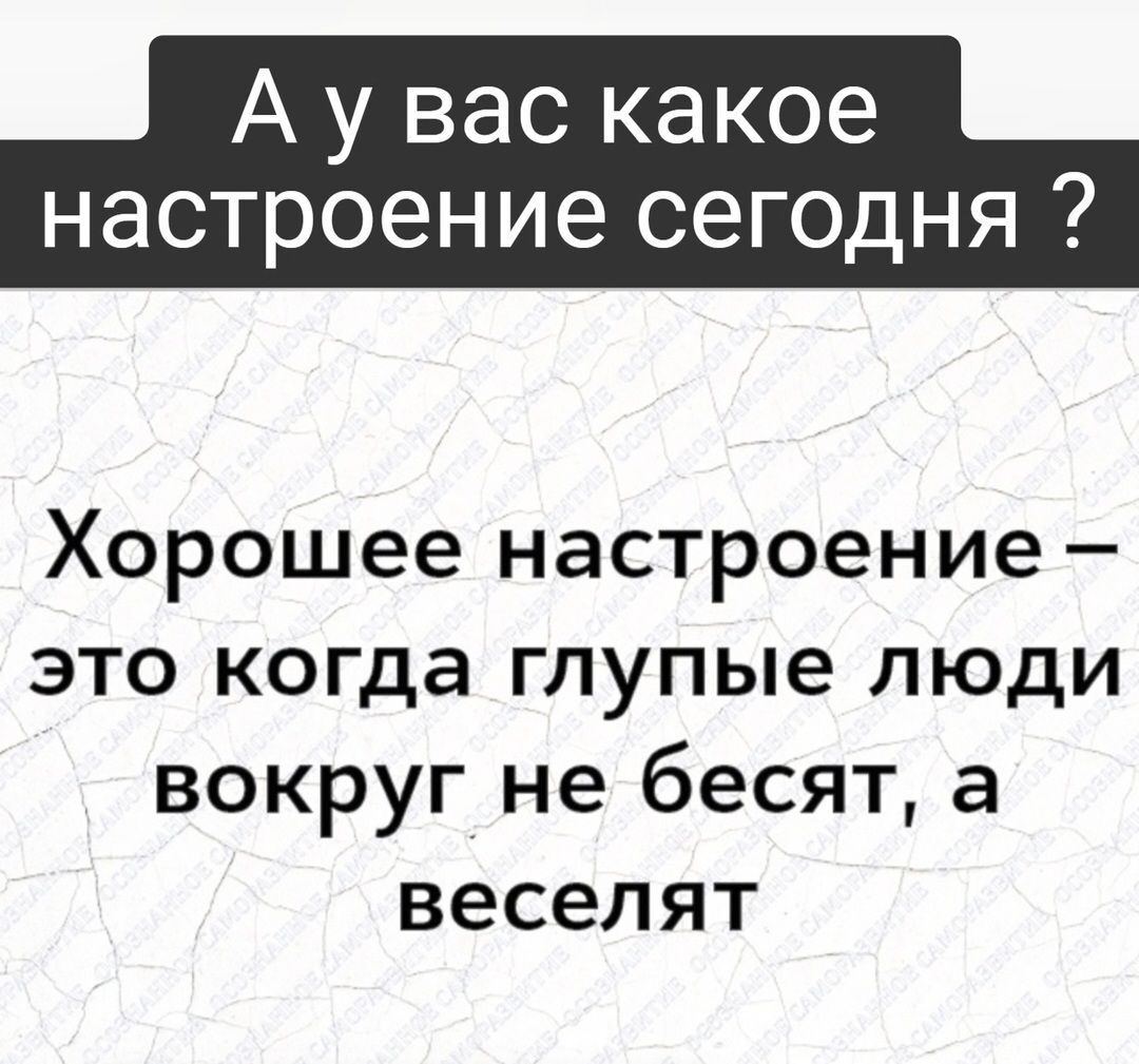А у вас какое настроение сегодня Хорошее настроение это когда глупые люди вокруг не бесят а веселят