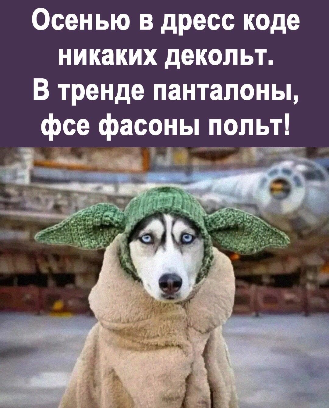 Осенью в дресс коде никаких декольт В тренде панталоны фсе фасоны польт ащц