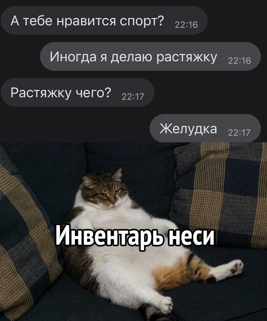 А тебе нравится спорт 22 Иногда я делаю растяжку а Растяжку чего 2217 жеПУдка 2217