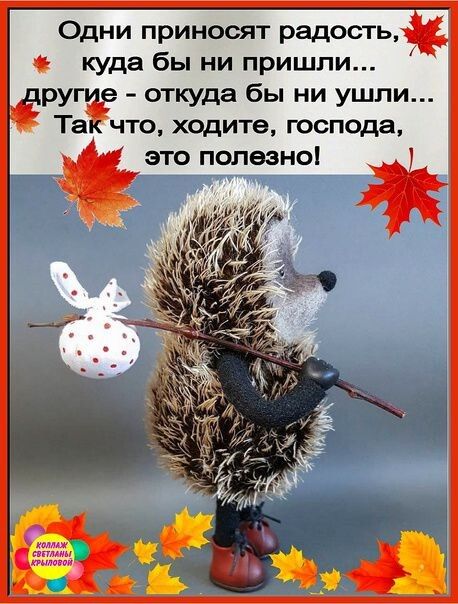 Одни приносят радость куда бы ни пришли ру откуда бы ни ушли Та чт ходите господа это полезно
