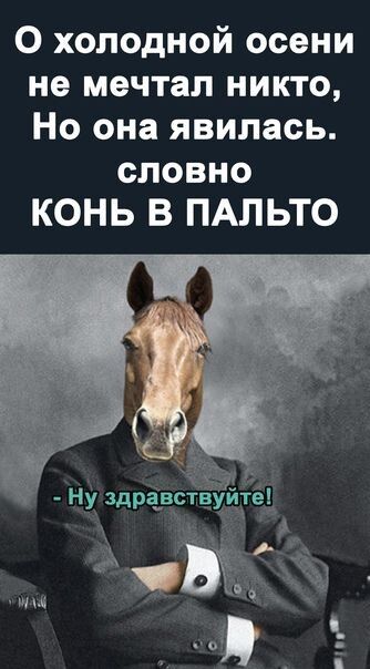 0 холодной осени не мечтал никто Но она явилась словно КОНЬ В ПАЛЬТО