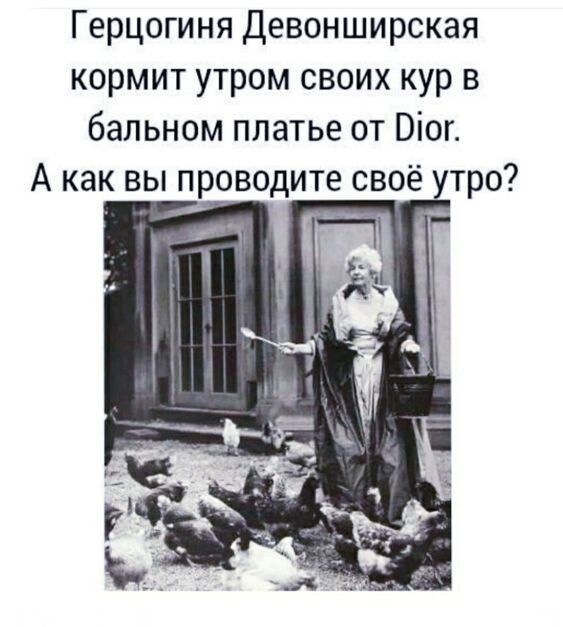 Герцогиня Девонширская кормит утром своих кур в бальном платье от Віог