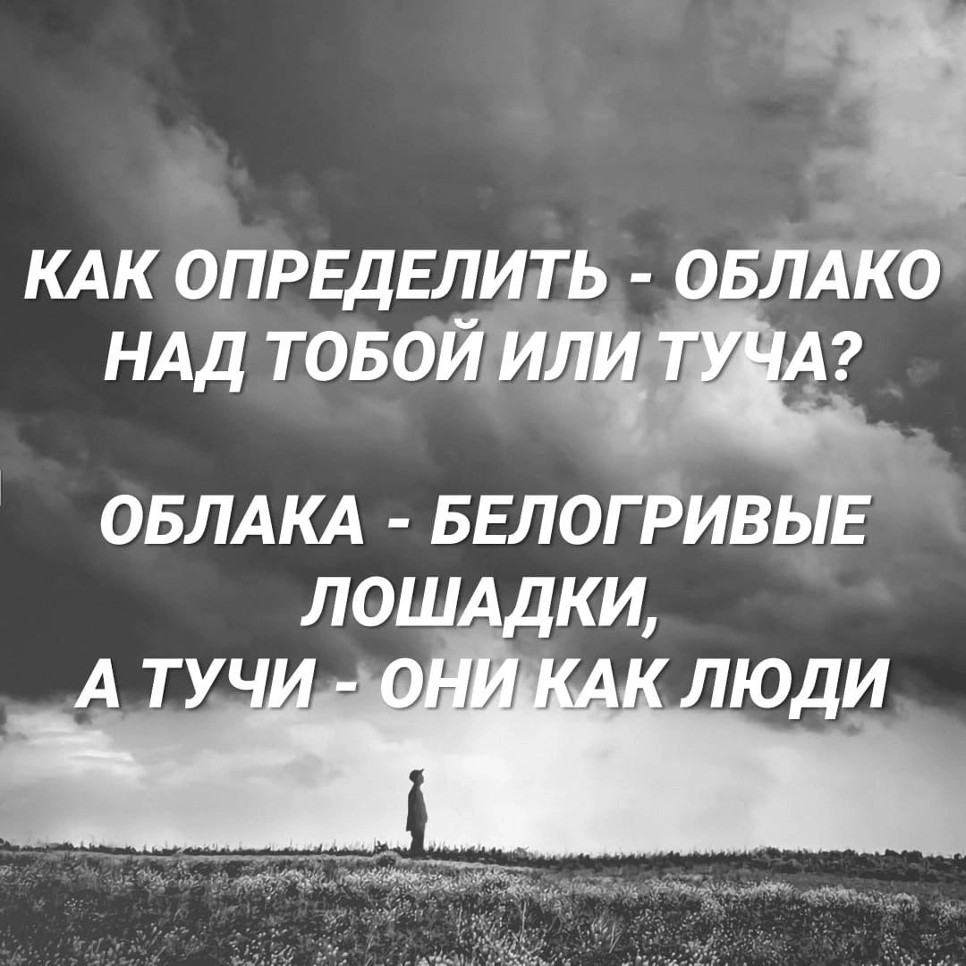 КАК ОПРЕДЕЛИ НАД тов