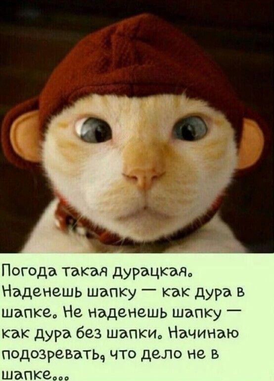 Погода такая дурацкая Наденешь шапку как дура в шапке Не наденешь шаПКу _ как Дура без шапки Начинаю подозревать что дело не в шапке