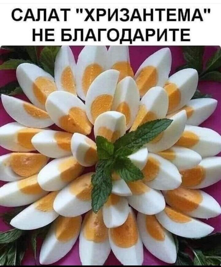 САПАТ ХРИЗАНТЕМА НЕ БЛАГОДАРИТЕ У