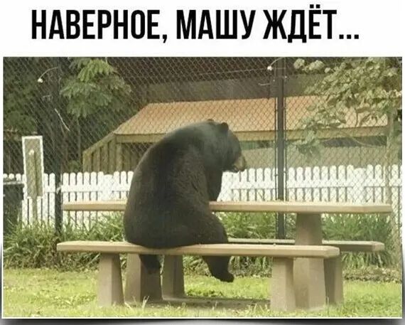 НАВЕРНОЕ МАШУ ЖДЁТ
