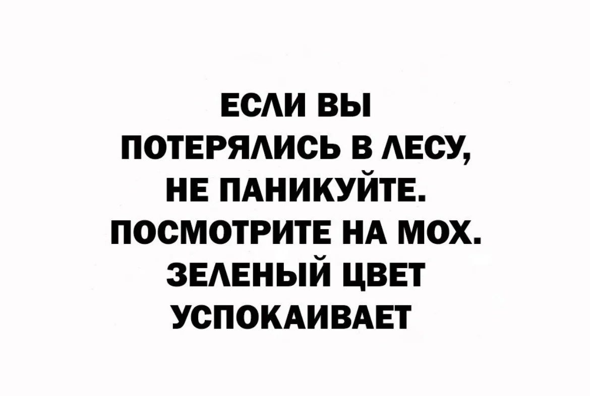 ЕОАИ вы потерялись в АЕСУ НЕ пдникуйтв посмотрите нд мох звмгный цвет успокшвит