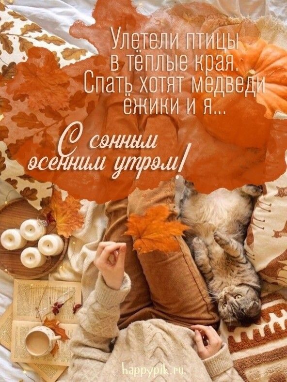 е ЗЛИТИЦЫ